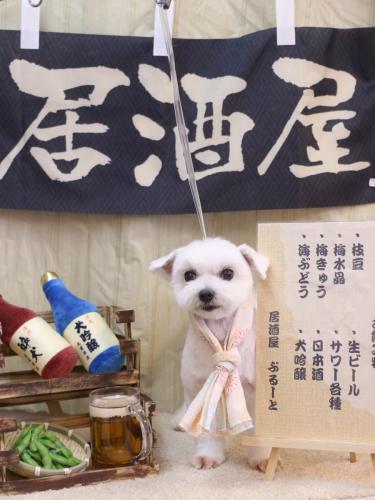 20240612うららちゃん